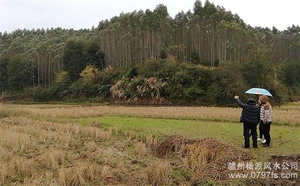 池州市陈老师带着爱徒寻龙点穴